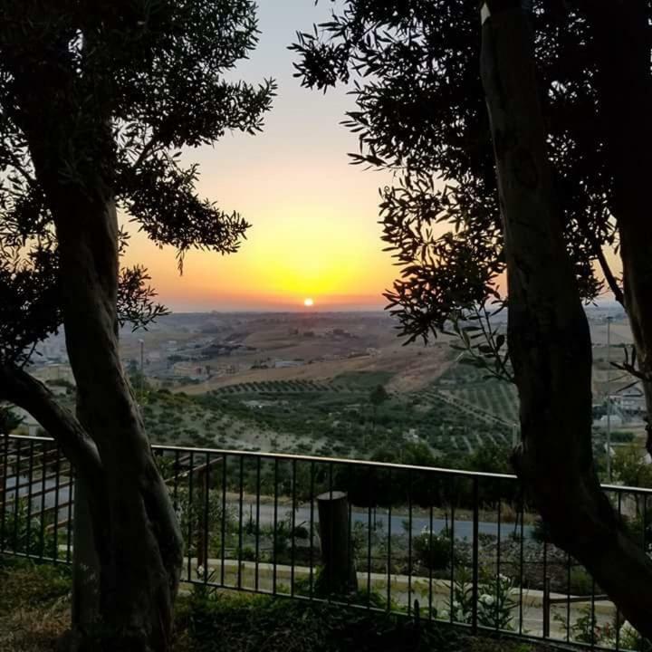 אפרטהוטל שאקה Le Case Del Vivaio מראה חיצוני תמונה